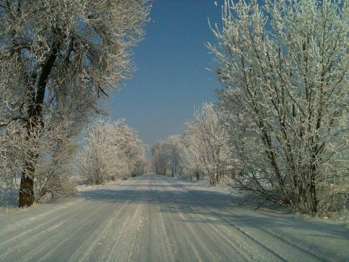 2011. január - Abonyi út